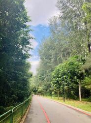 Seletar Hills Estate (D28), Detached #590294581